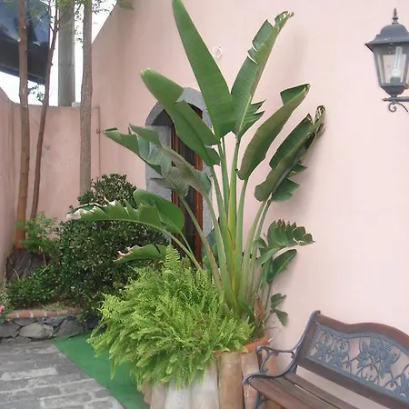 Farm stay La Grevillea Riposto